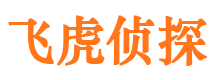 沅江婚外情调查取证